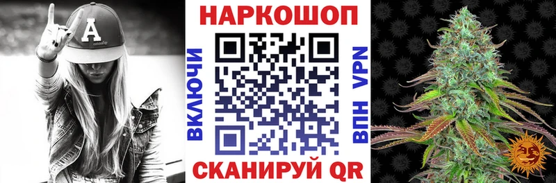  COCAIN Гвардейск
