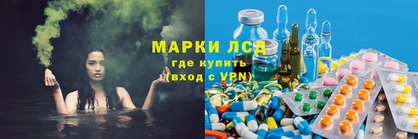 прущий лед Алзамай
