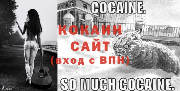 прущий лед Алзамай