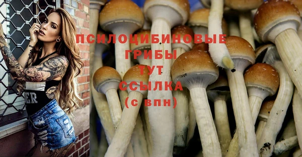 прущий лед Алзамай