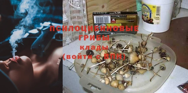 прущий лед Алзамай