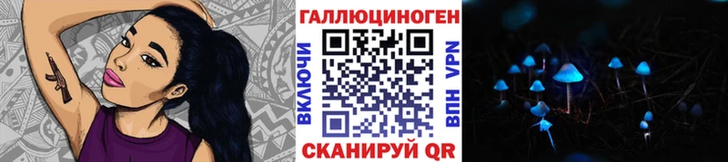 Псилоцибиновые грибы Magic Shrooms  наркотики  Гвардейск 
